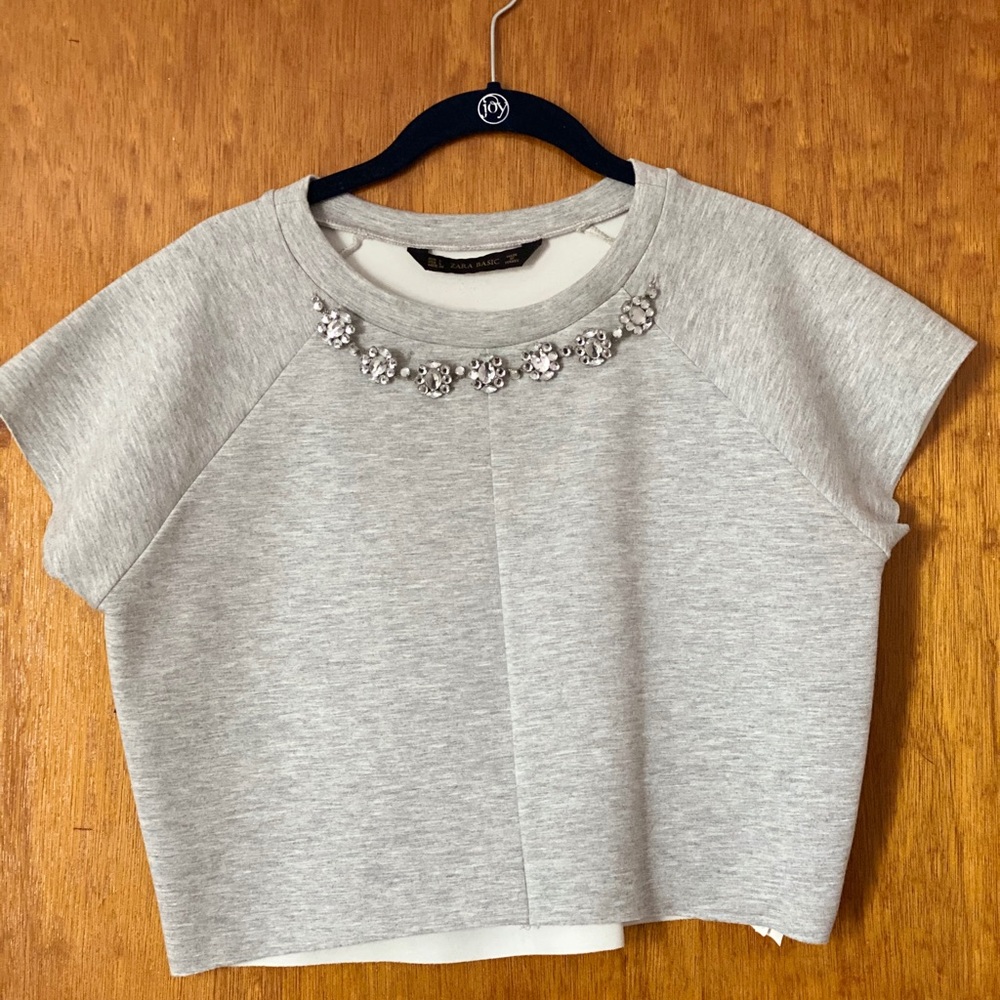 Zara French Terry Crop Top